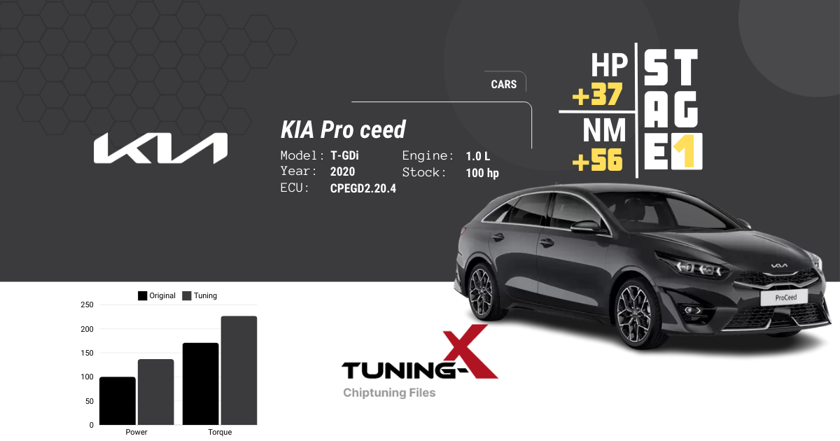 KIA pro ceed 2020 1.0 T-GDi Stage 1 File Service Portal for professionals