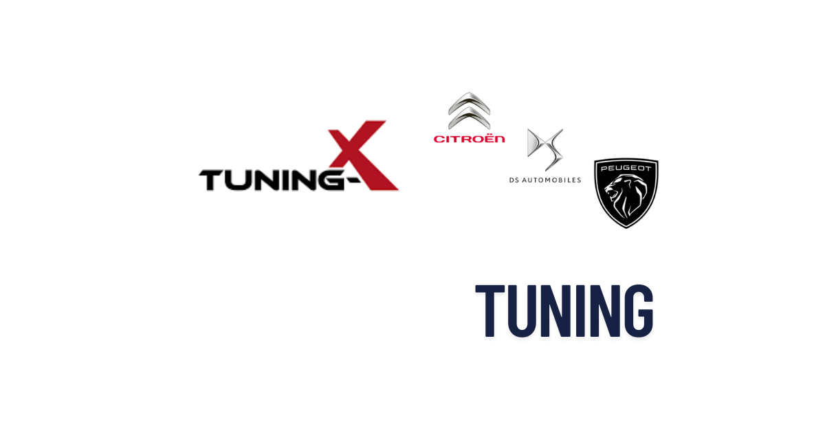 Peugeot Citroen DS Tuning